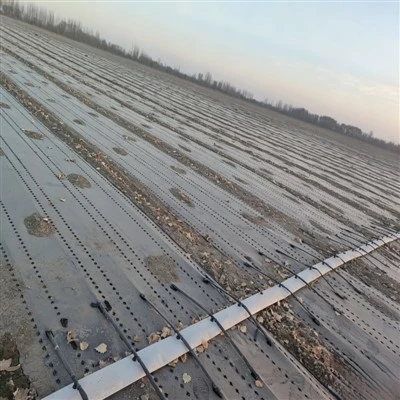 Custom Orifice Inlaid Flexible Drip Line